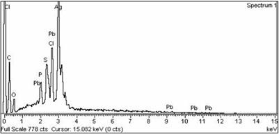 Liver-boosting potential: chicory compound-mediated silver nanoparticles for hepatoprotection—biochemical and histopathological insights